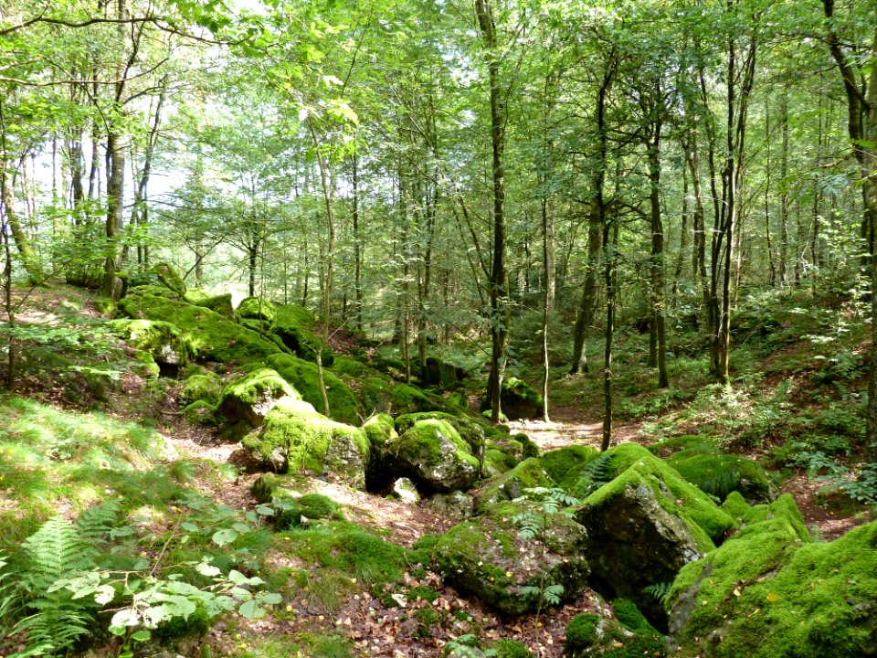 Wéris-La carrière (5)