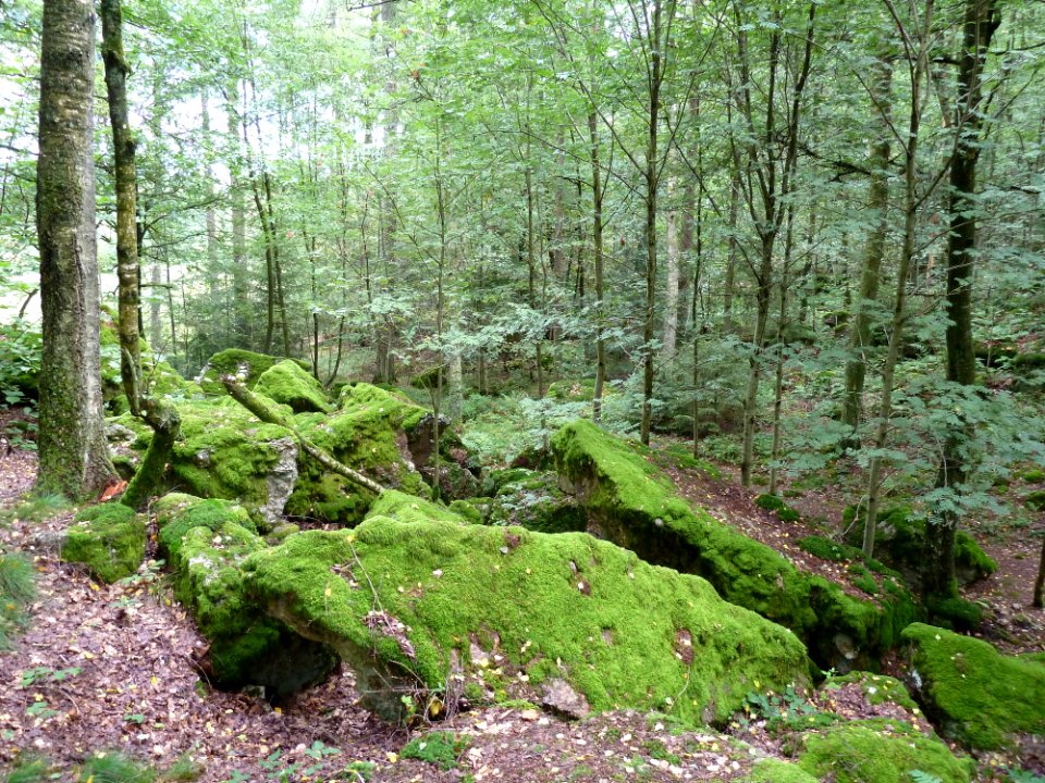 Wéris-La carrière (2)