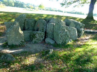 Wéris-dolmen d'Oppagne (19)
