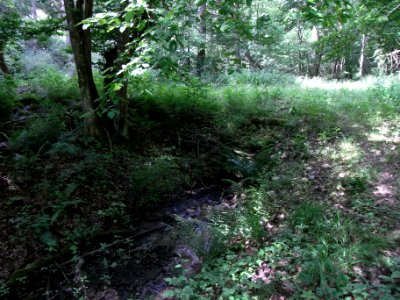 Wäschbach ober Wegkrezung R0015145