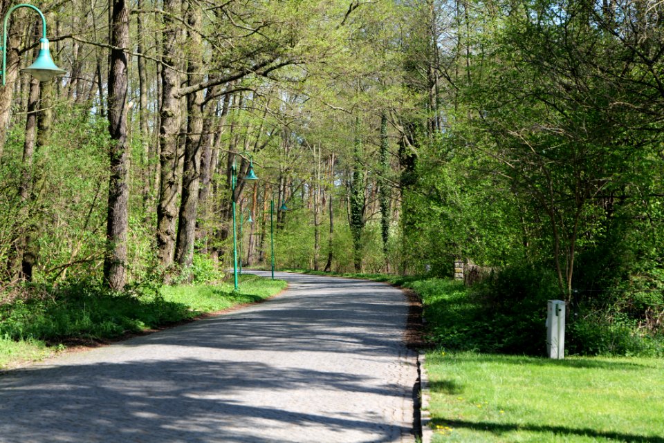 Wünsdorfer Seestraße Wünsdorf 2021-05-09 01