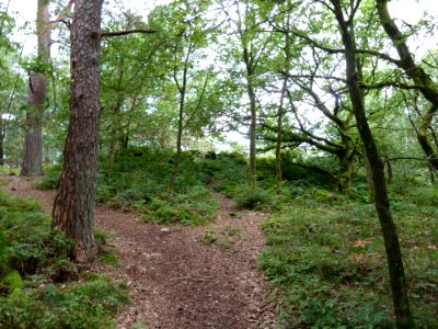 Wéris-La Pierre Haina (1)