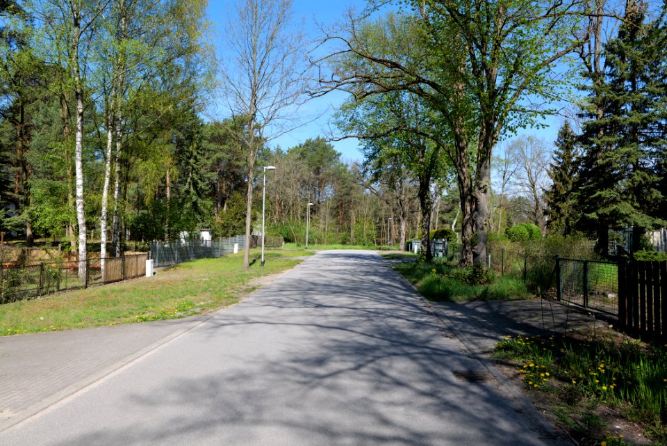 Wünsdorfer Weg Neuhof 2021-05-09 02
