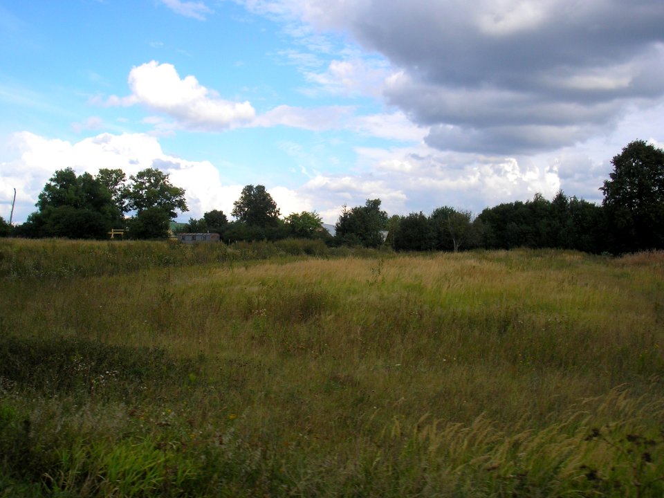 Vyoska 3