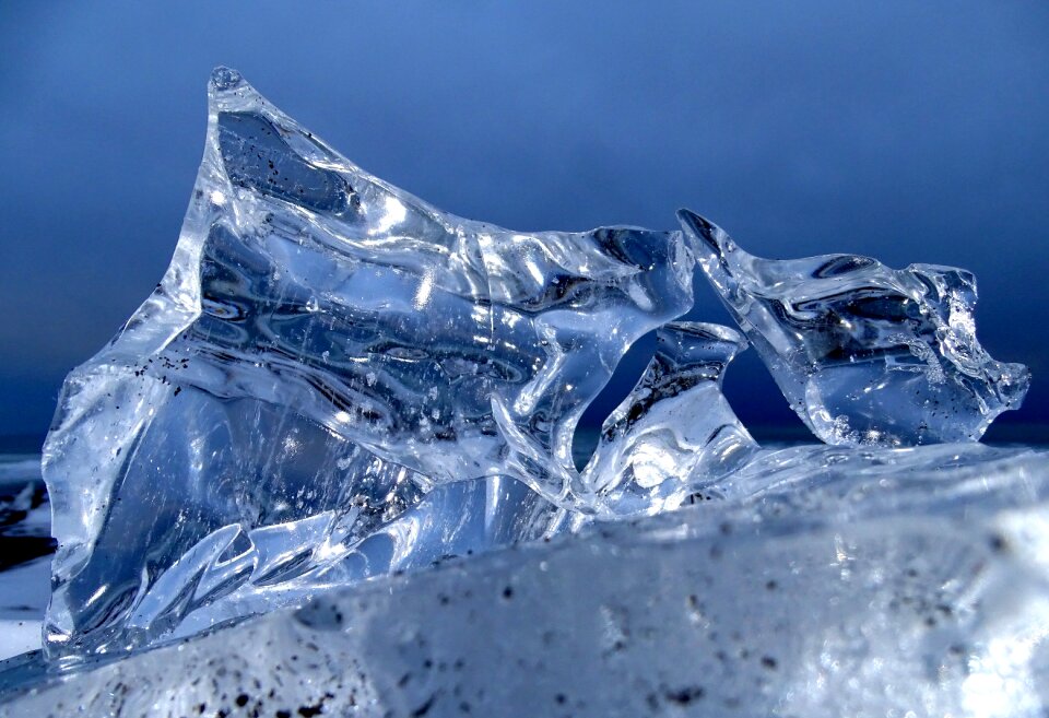 Frost cold landscape