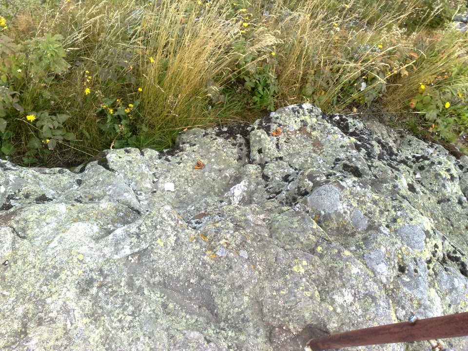 Vylet na Velky Javor 3 srpna 2011 207