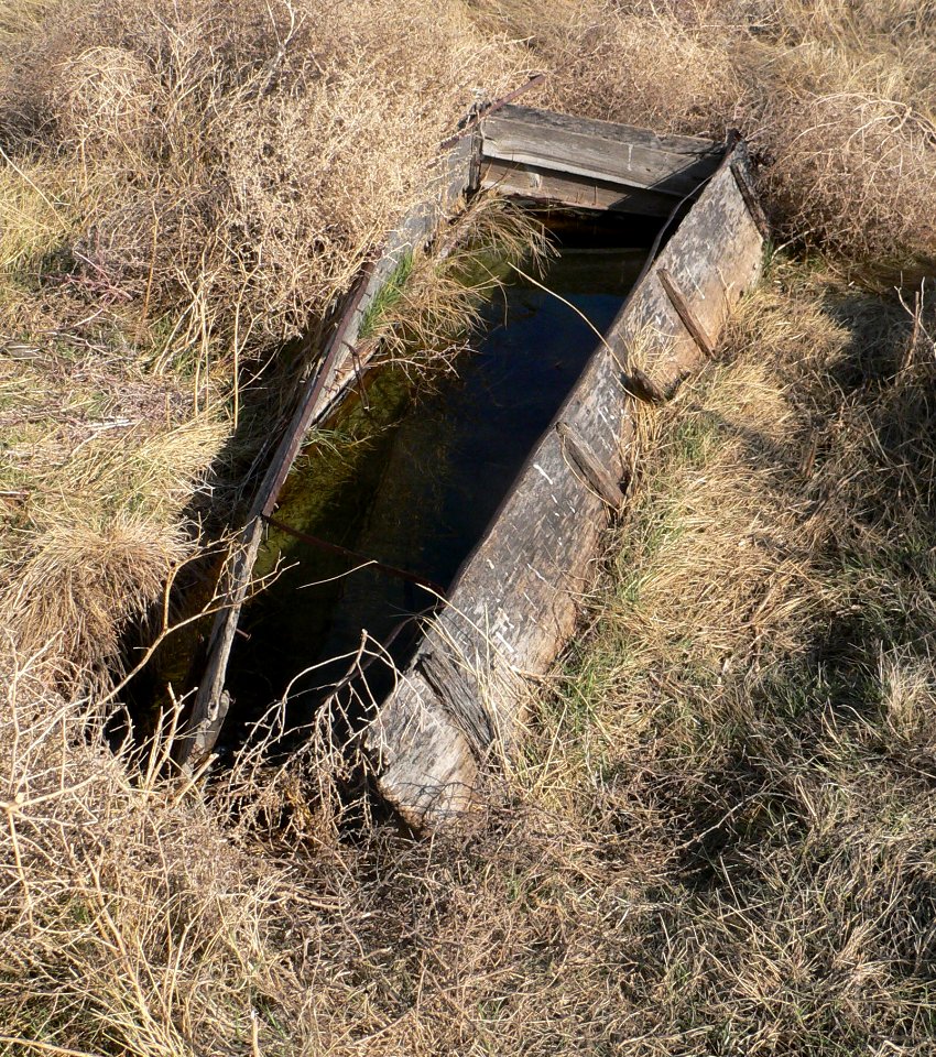Wagon Bed Spring replica spring 3