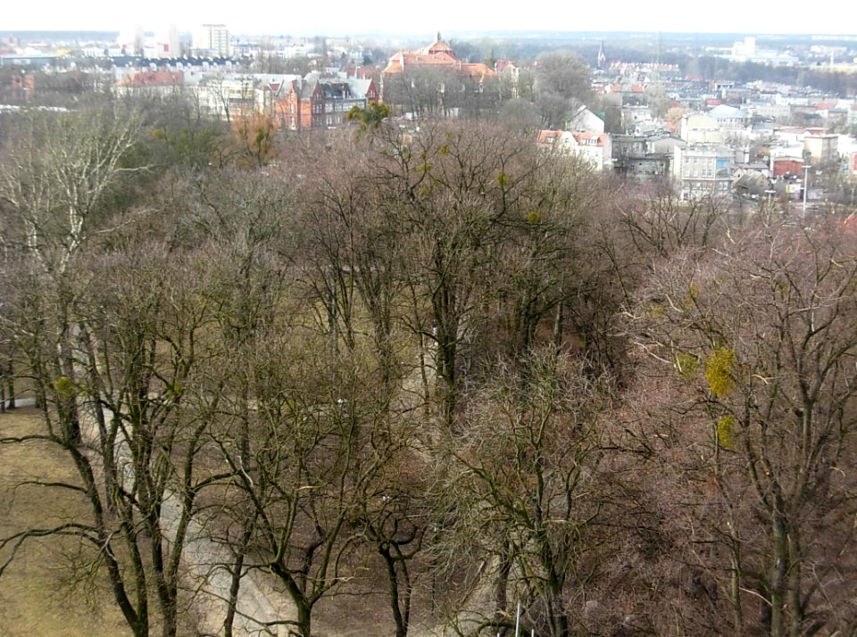W ciśn Bdg widok 03-2013 park Dąbrowskiego
