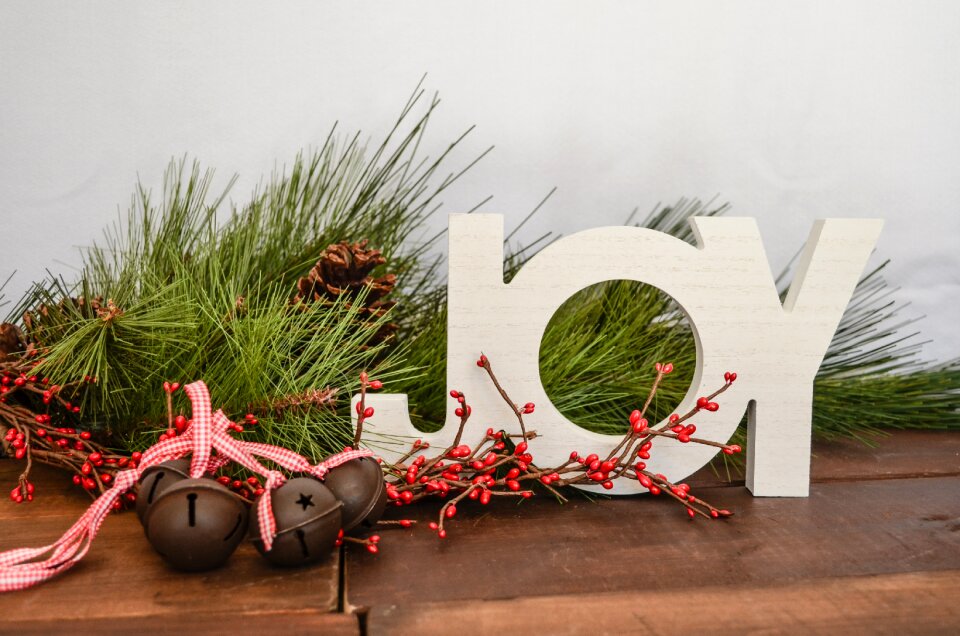 Word holidays pine branches