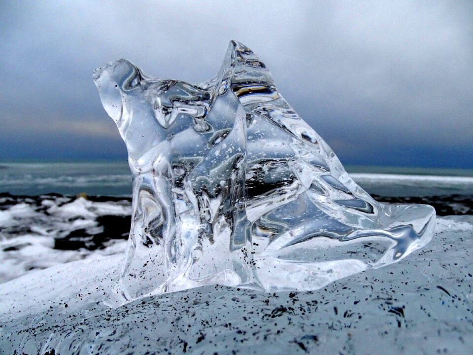 Frost cold landscape