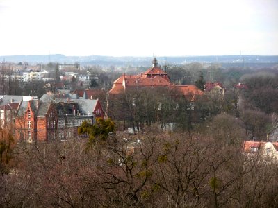 W ciśn Bdg widok 03-2013 UTP