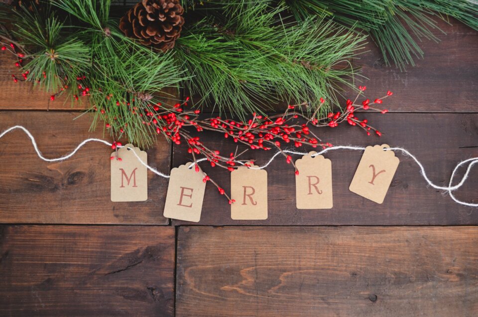 Christmas card pine branch