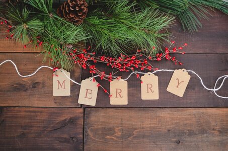 Christmas card pine branch