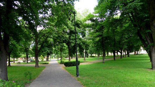 Węgliniec, Ab-036