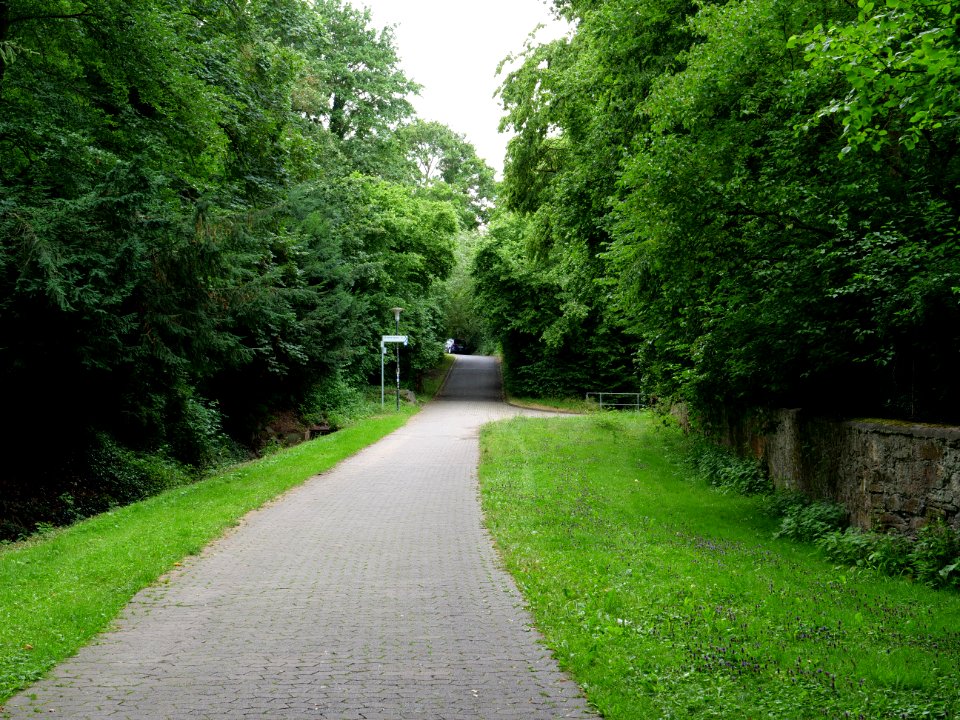 Waidesgrund park Fulda 2019-07-14 09