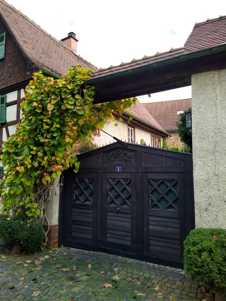 Wagengasse 5 Unterliederbach 04
