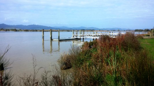 Waihou River at Turua 2