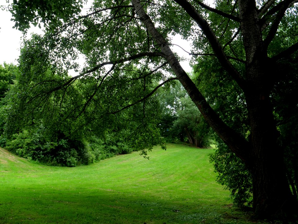 Waidesgrund park Fulda 2019-07-14 06