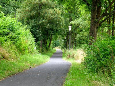 Waidesgrund park Fulda 2019-07-14 03