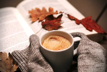 Hottest leaves winter
