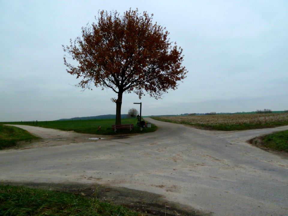Wahlwiller-Kruising Kruisberg (1)