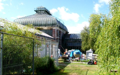 WAŁBRZYCH-PALMIARNIA, AB-109