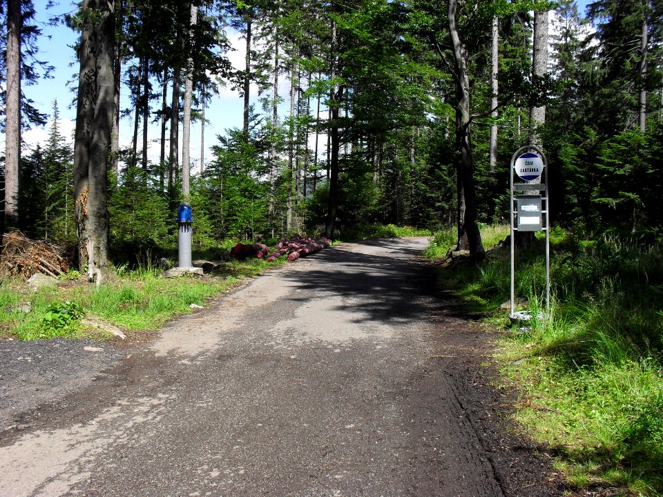Vylet k Cernemu jezeru Sumava - 9.srpna 2010 105