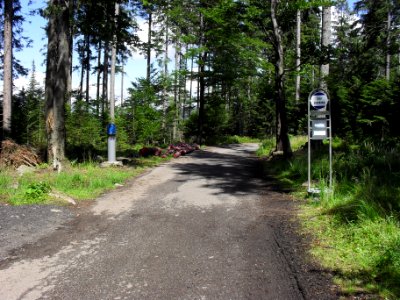 Vylet k Cernemu jezeru Sumava - 9.srpna 2010 105