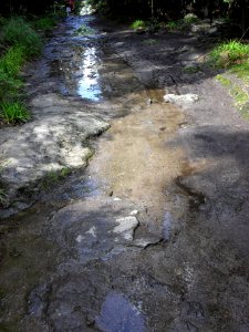 Vylet k Cernemu jezeru Sumava - 9.srpna 2010 100