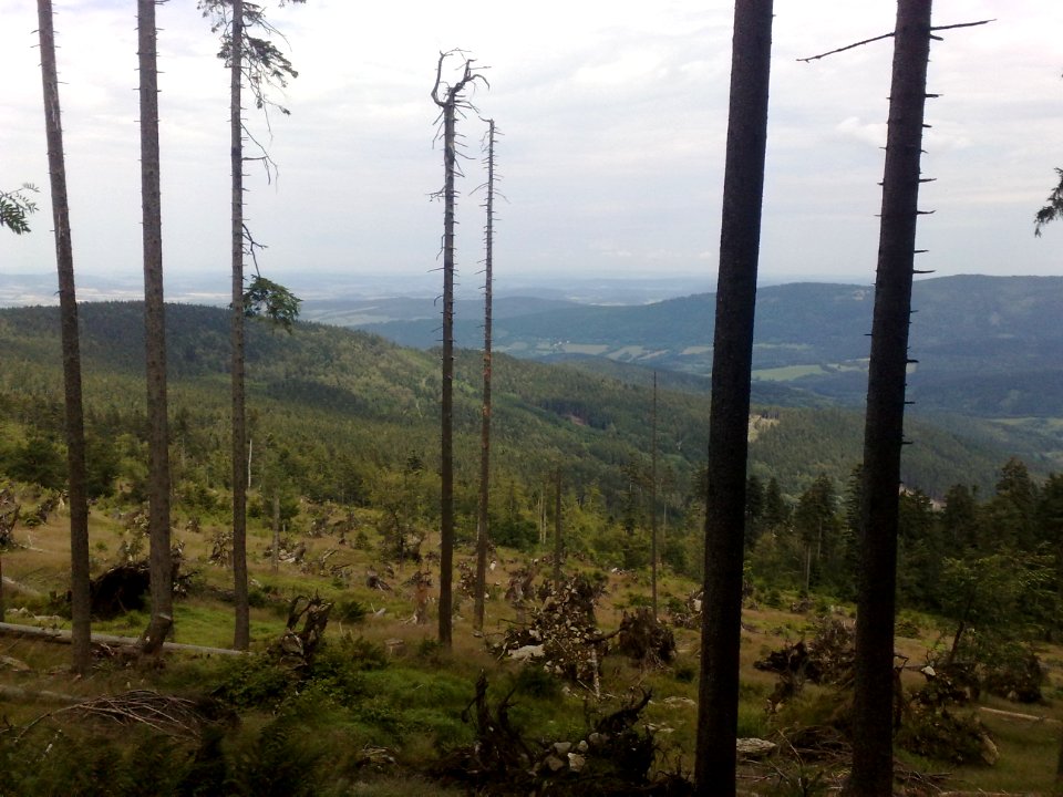 Vylet na Ostry, Sumava - 9 cervenec 2011 98
