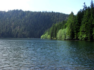 Vylet k Cernemu jezeru Sumava - 9.srpna 2010 113