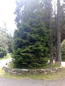 Vylet na Ostry, Sumava - 9 cervenec 2011 71