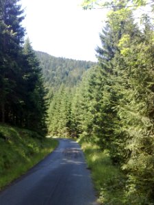 Vylet na Ostry, Sumava - 9 cervenec 2011 34