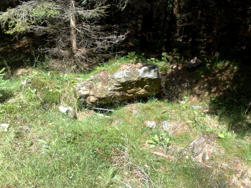 Vylet na Ostry, Sumava - 9 cervenec 2011 35