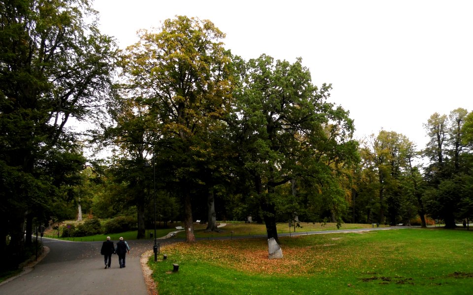 WAŁBRZYCH-ZAMEK KSIĄŻ, AB-021