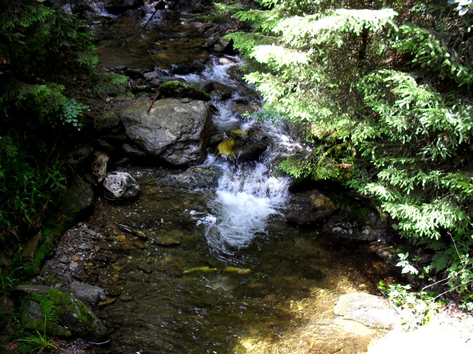 Vylet na Ostry, Sumava - 9 cervenec 2011 230