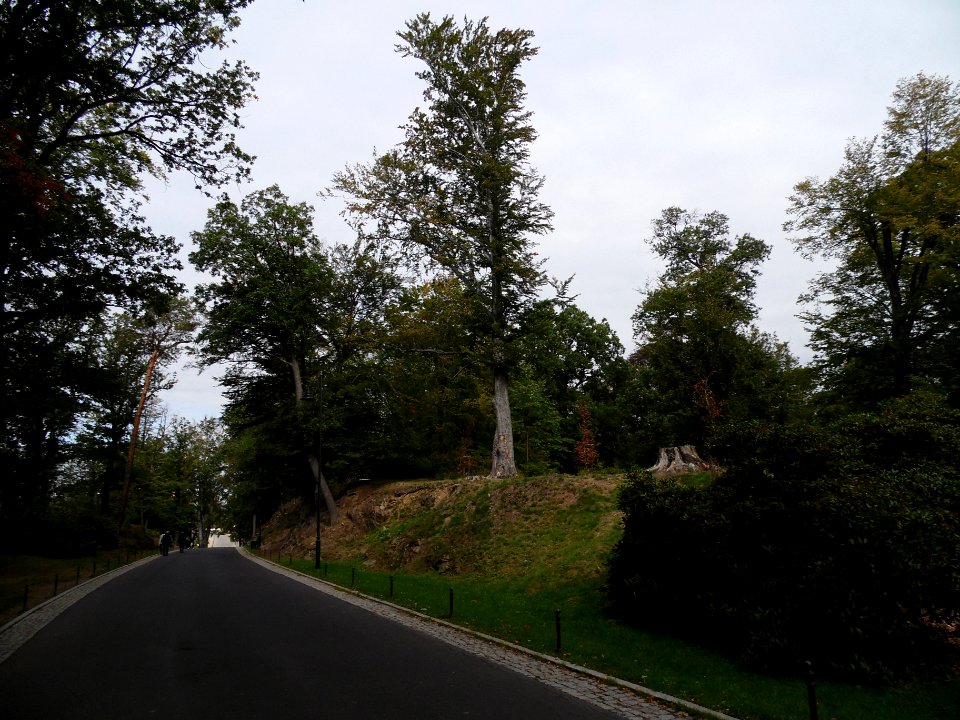 WAŁBRZYCH-ZAMEK KSIĄŻ, AB-022