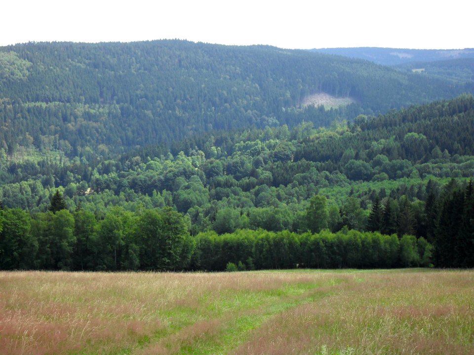 Vylet na Ostry, Sumava - 9 cervenec 2011 228