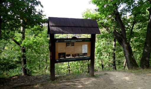 WAŁBRZYCH-ZAMEK KSIĄŻ, AB-027
