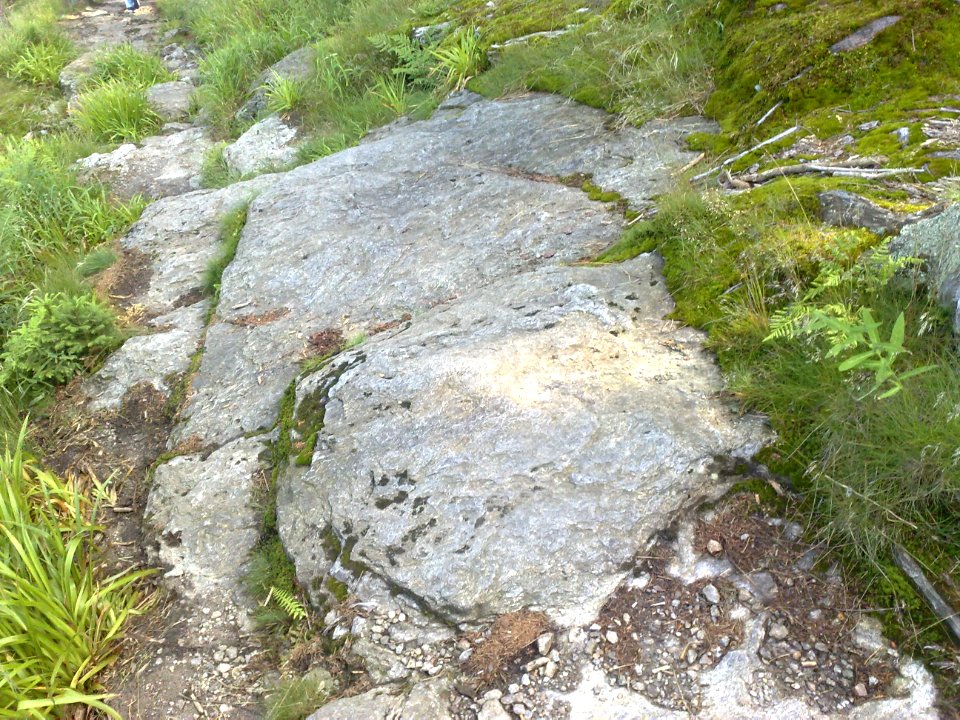 Vylet na Ostry, Sumava - 9 cervenec 2011 197