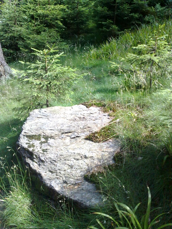 Vylet na Ostry, Sumava - 9 cervenec 2011 202