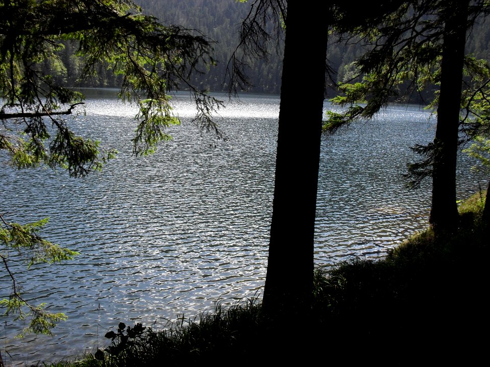 Vylet k Cernemu jezeru Sumava - 9.srpna 2010 156