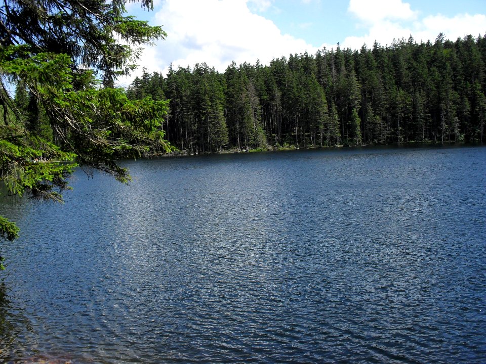 Vylet k Cernemu jezeru Sumava - 9.srpna 2010 160