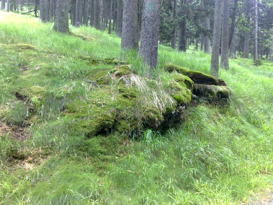 Vylet na Ostry, Sumava - 9 cervenec 2011 79