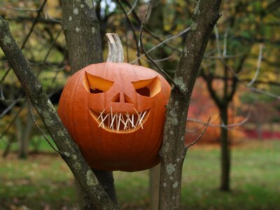 Halloween face carving