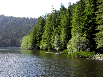 Vylet k Cernemu jezeru Sumava - 9.srpna 2010 122