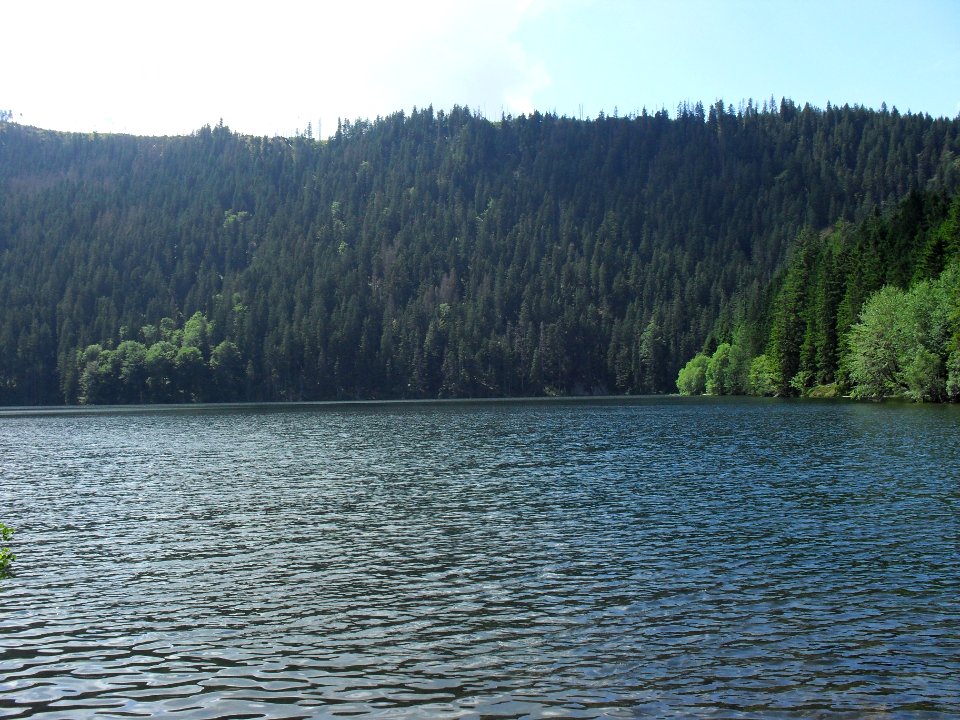 Vylet k Cernemu jezeru Sumava - 9.srpna 2010 111