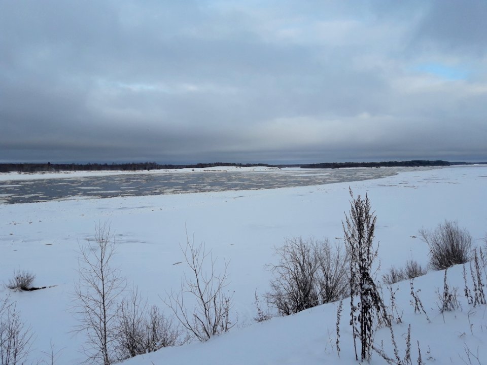 Vychegda River, Koryazhma 2018 (05)