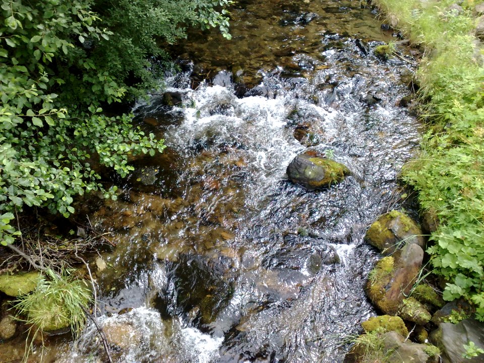 Vylet na Ostry, Sumava - 9 cervenec 2011 6