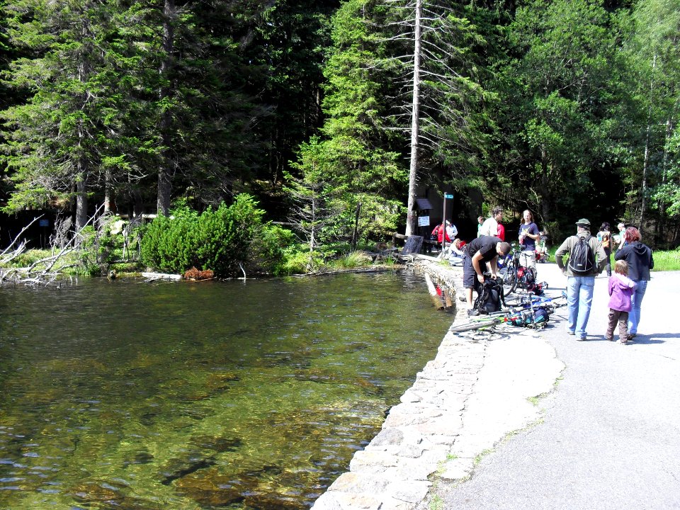 Vylet k Cernemu jezeru Sumava - 9.srpna 2010 121